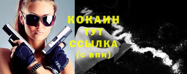 гидра Гусь-Хрустальный