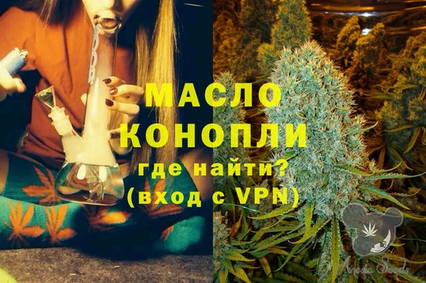 гидра Гусь-Хрустальный