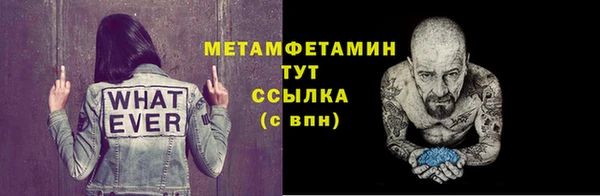 гидра Гусь-Хрустальный