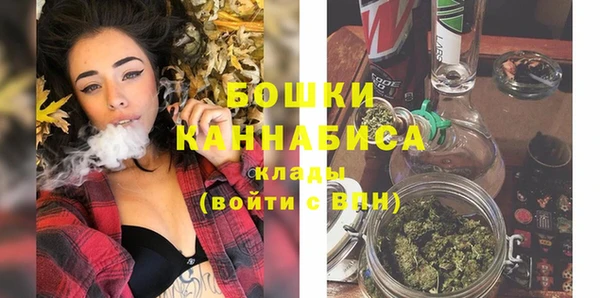 винт Гусиноозёрск