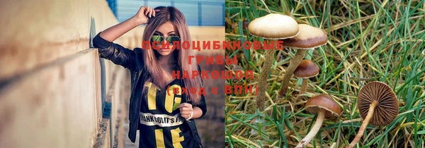 винт Гусиноозёрск