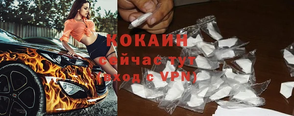 гидра Гусь-Хрустальный