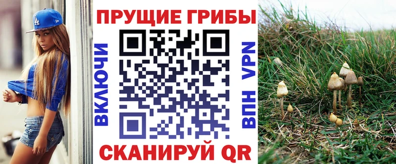 Галлюциногенные грибы Cubensis даркнет сайт Калачинск